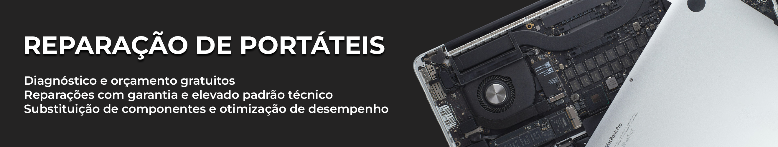 Repara&ccedil;&atilde;o de port&aacute;teis